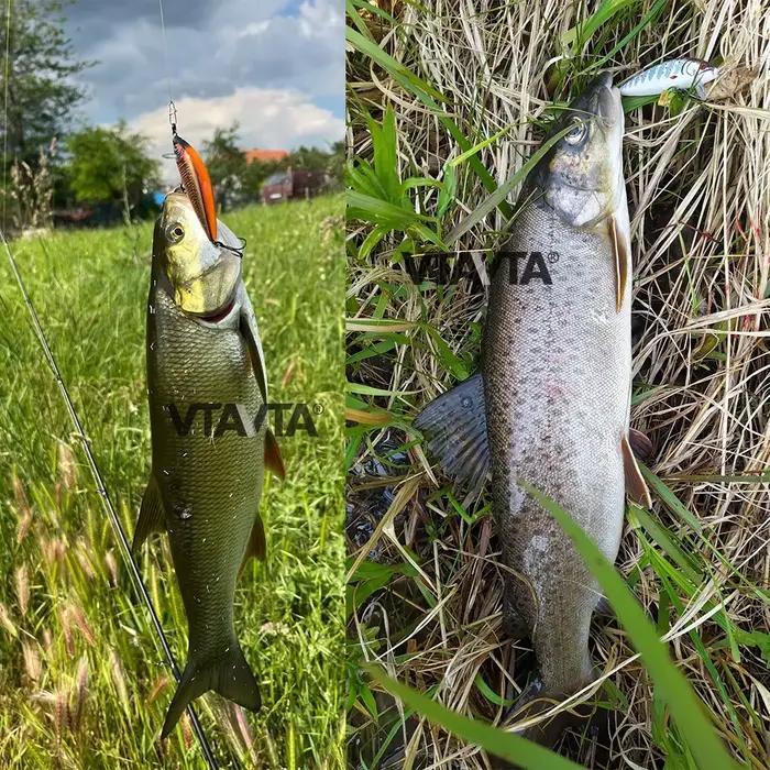 Leurre dur VTAVTA Sinking Minnow 7cm pour truite, brochet et pêche en mer - Leurres carnassiers