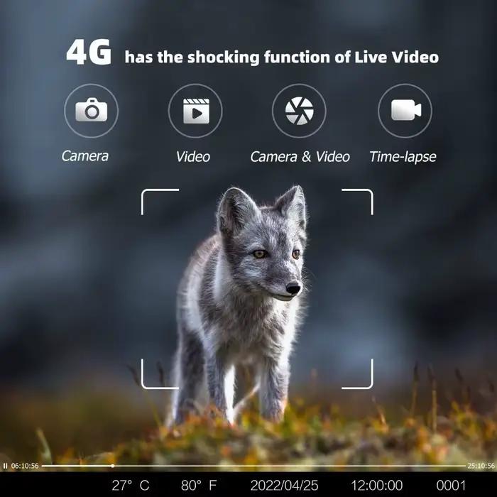 Caméra de chasse Suntekcam HC-880Pro 4G LTE 30MP étanche IP65 avec streaming live 2K et service cloud