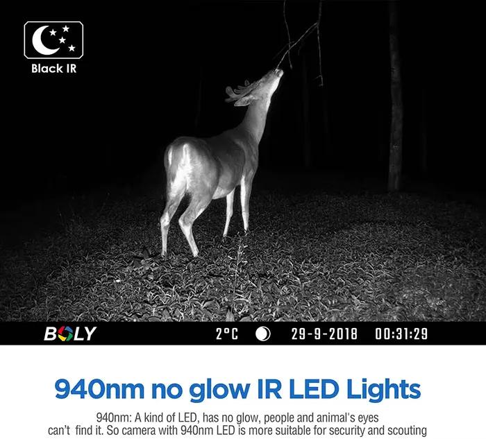 BolyGuard BG636 caméra faune 36MP 1080P étanche IP68 prête solaire pour chasse extérieure