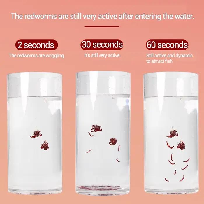 Poudre attractante vers de vase 200ml - additif concentré pour appâts carpe et silure