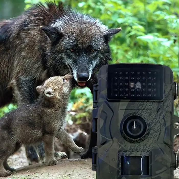 Caméra de chasse étanche vision nocturne infrarouge - Détection de mouvement pour traque et sécurité extérieure
