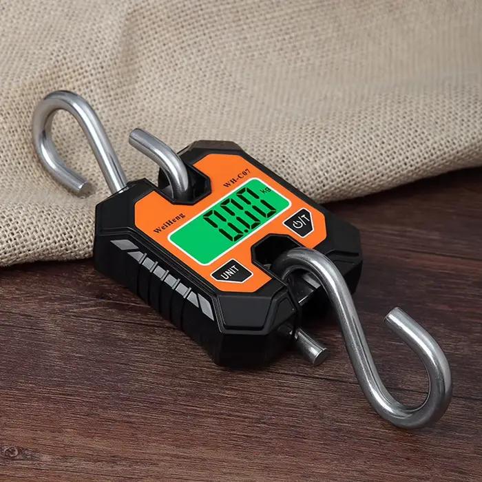Balance électronique suspendue 100kg/50g LCD portable pour pêche - Outil multifonction précis