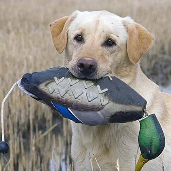 Leurre canard colvert EVA pour chasse et décoration camping - Déco étang et extérieur