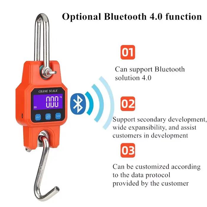 Pèse-bagage électronique Bluetooth crochet 300kg/50g pour pêche, industrie, voyage - Balance digitale robuste