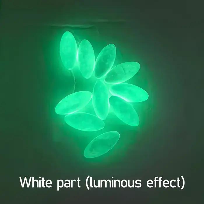 Flotteur ovale Topranc luminescent pour appâts pêche eau douce et mer accessoires