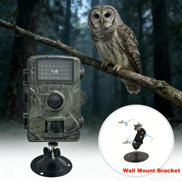 Caméra de chasse avec vision nocturne IR et détection de mouvement - Parfaite pour le pistage animalier