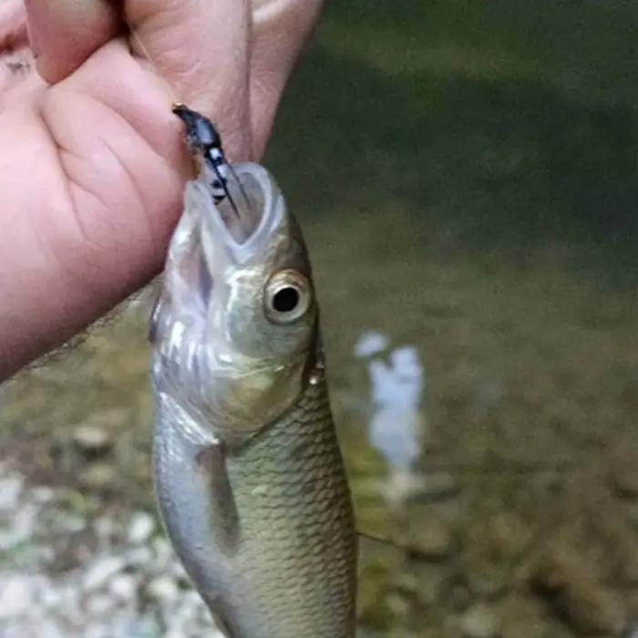Mouches artificielles réalistes 5 pièces - Leurres bioniques pour truite, black-bass et carpe