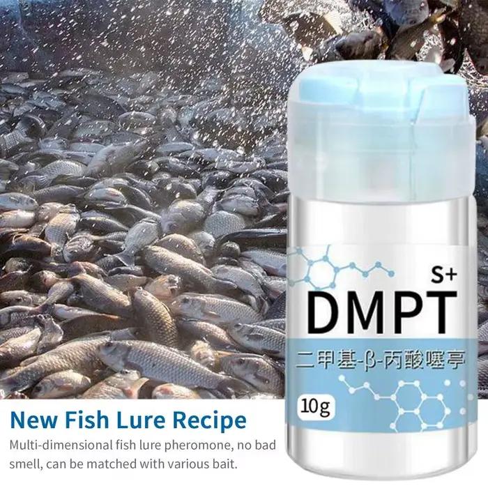 Gel attractant poissons 10g senteur puissante soluble naturel pour crevette carpe tilapia