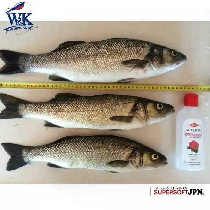 Kit leurres souples paddle tail pour pêche du bar - 5 tailles de 6cm à 14.5cm avec têtes plombées assorties