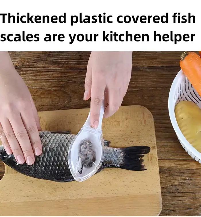 Grattoir à écailles de poisson en plastique - outil de nettoyage facile pour cuisine et poissonnerie - brosse à écailles