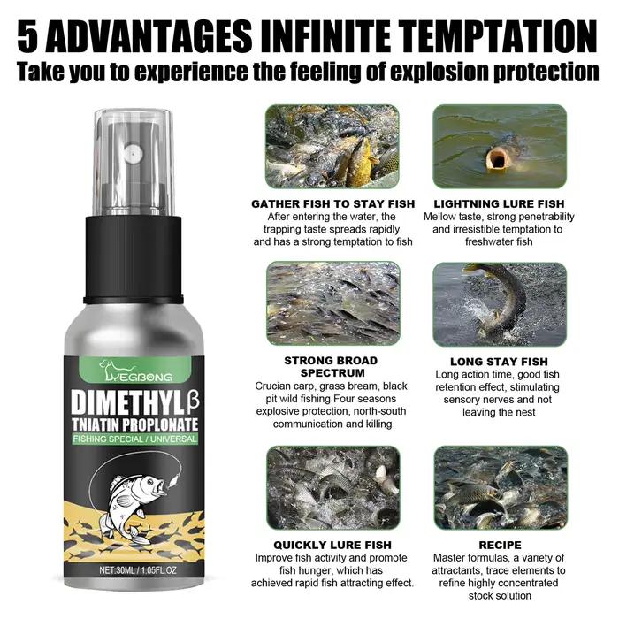 Spray attractant poissons portable forte pénétration - accessoire pêche améliorer efficacité appâts naturels