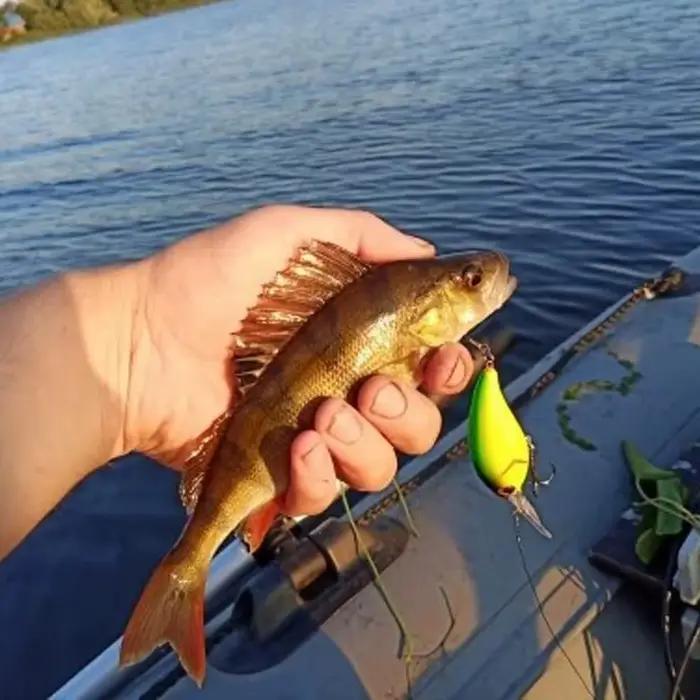Leurre crankbait 13.6g 10cm minnow yeux 3D pour pêche brochet perche black bass carpe