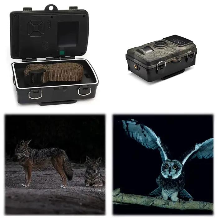 Caméra de chasse infrarouge à détection de mouvement vision nocturne pour observation animalière extérieure