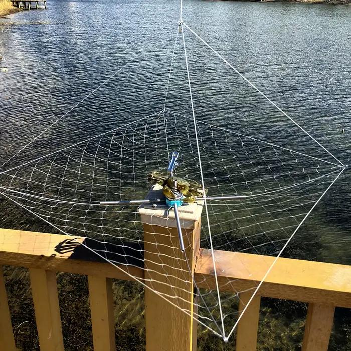 Cage à crabes anti-morsure 60cm avec filet élastique - Équipement professionnel pêche sous-marine
