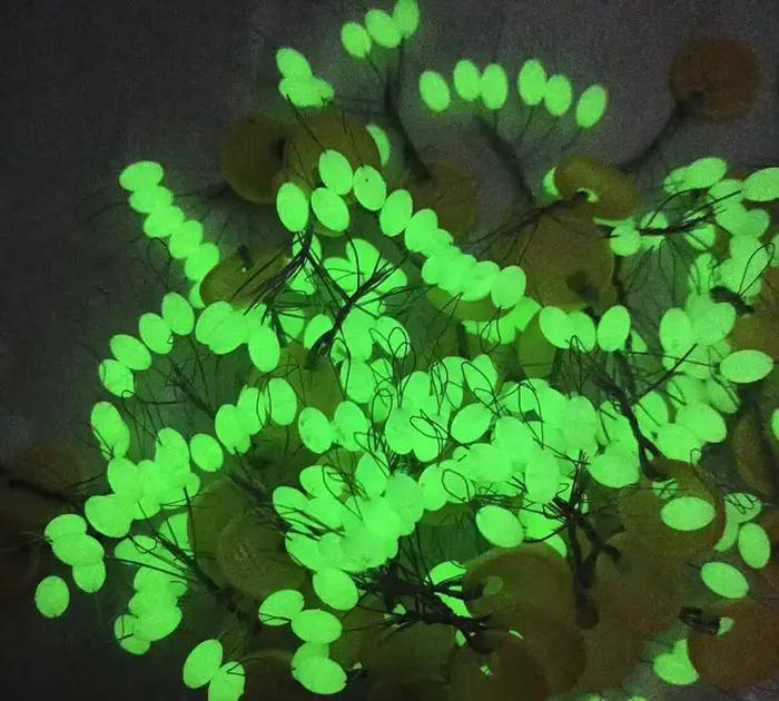 30 pièces flotteurs luminescents ovale mini pêche espace haricots J303, fixation facile comme un stop float