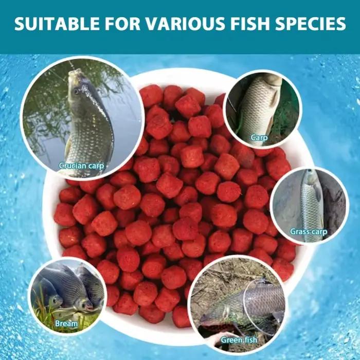 Appât pellet humide protéiné concentré pêche facile - Accessoires pêche pratique
