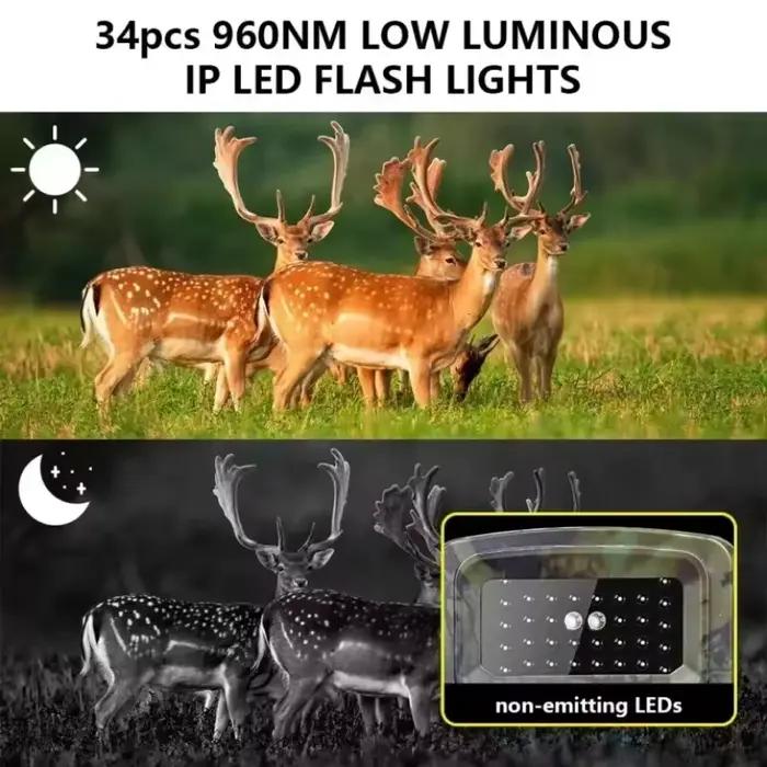 Caméra sans fil 2.7K écran LCD IP66 étanche - Vision nocturne 940nm IR pour chasse extérieure