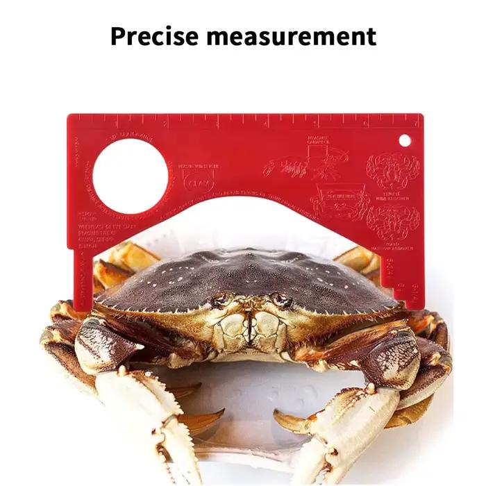 Jauge à crabes et crevettes mesure précise pour pêche équipement sportif durable