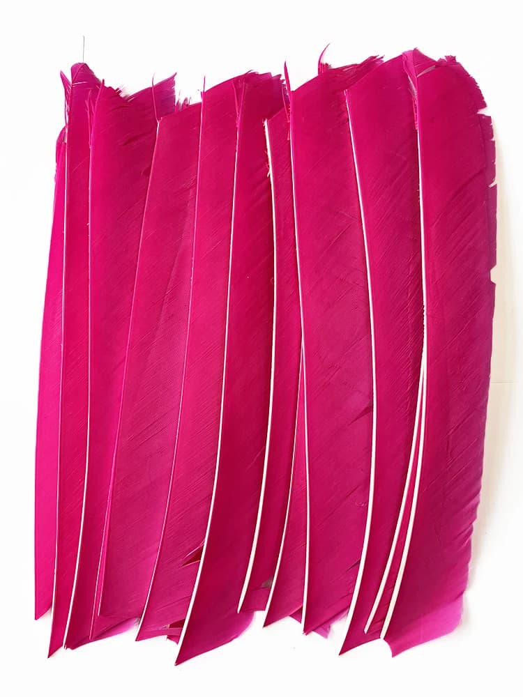 Plumes de dinde pleine longueur 18-25cm pour empennage flèche chasse et tir à l'arc,