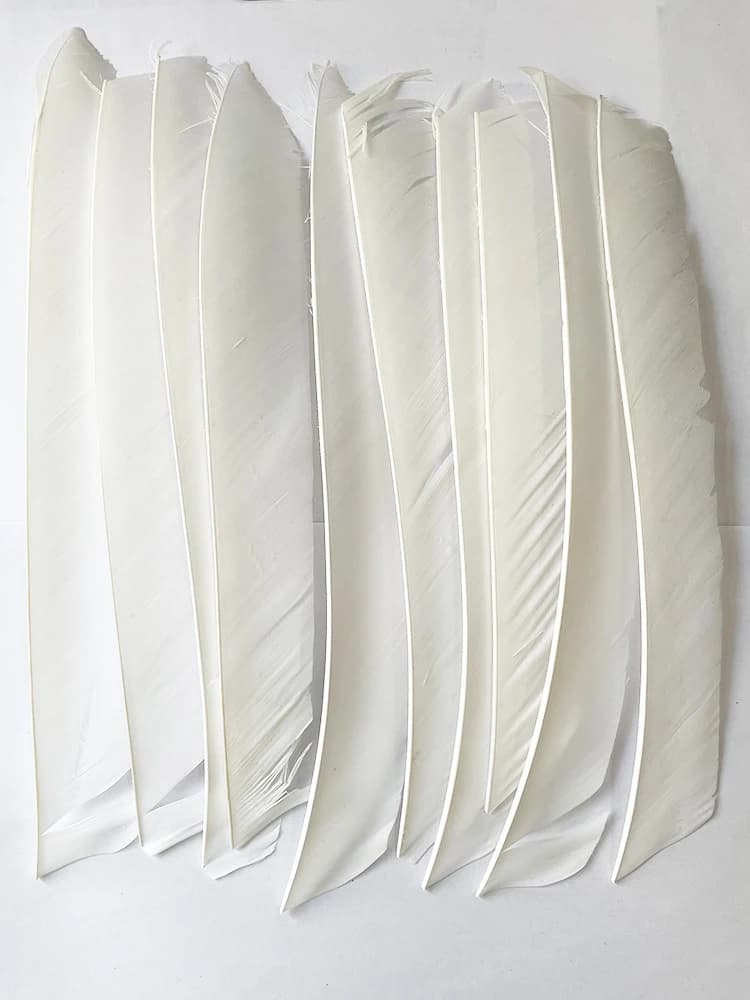 Plumes de dinde pleine longueur 18-25cm pour empennage flèche chasse et tir à l'arc,