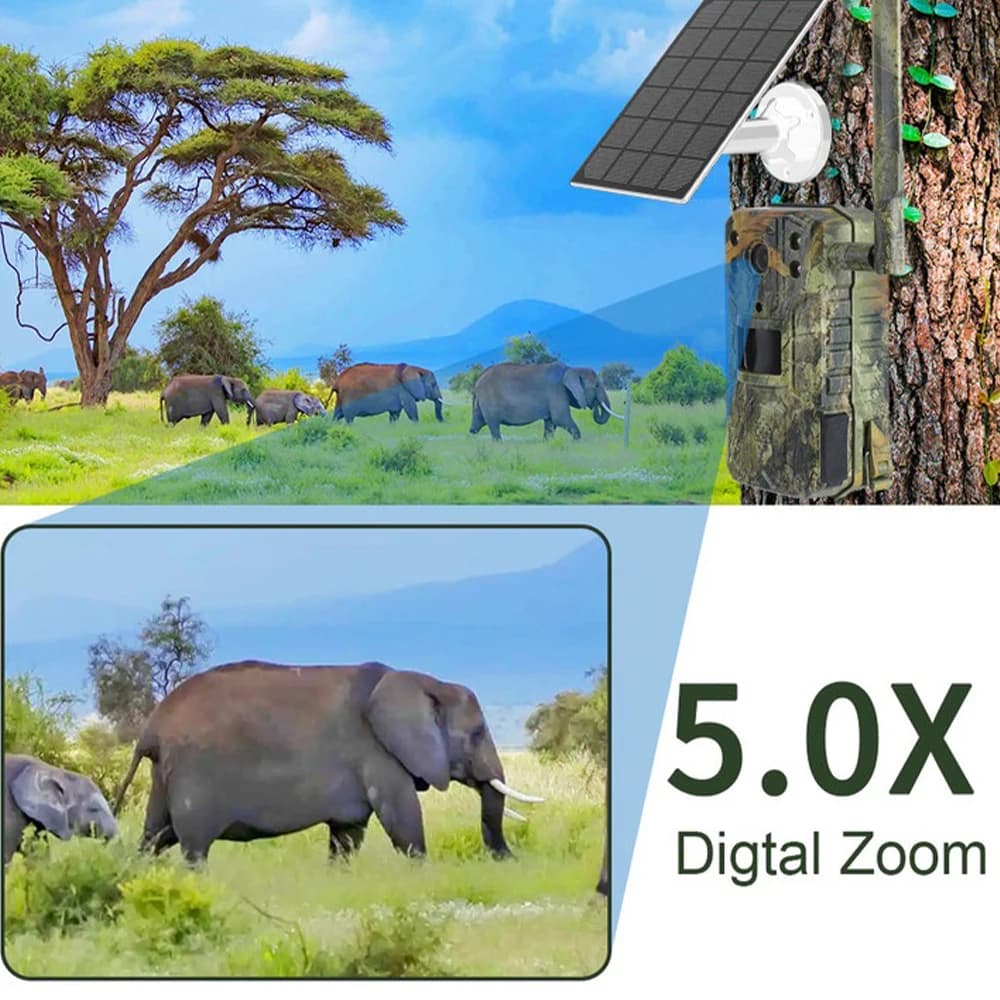 Caméra trail chasse 4G solaire 4MP étanche détection PIR 20M vision nocturne 30M tracking wildlife