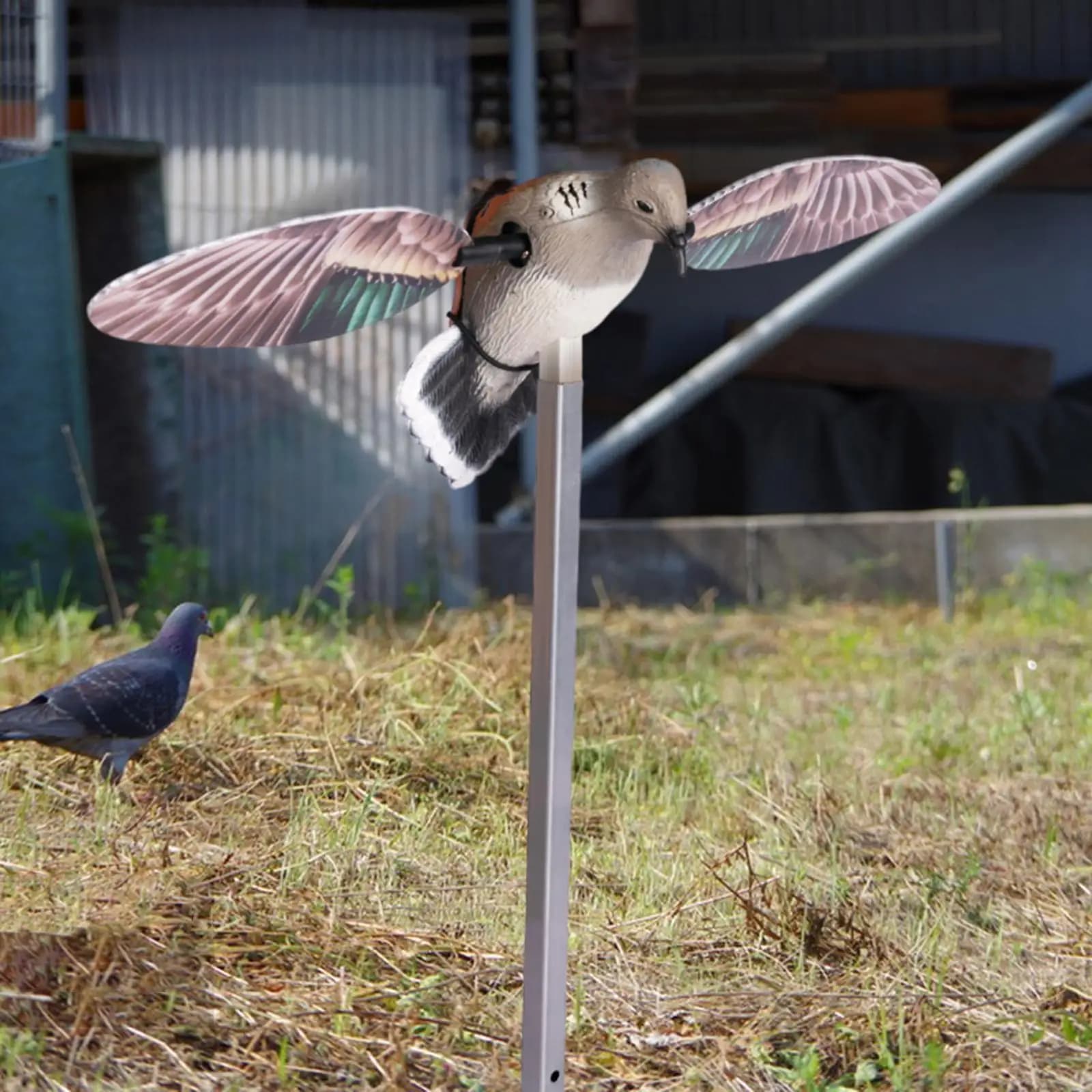 Aile décoy pigeon chasse position atterrissage correcte simulation leurre extérieur jardin accessoire chasseur