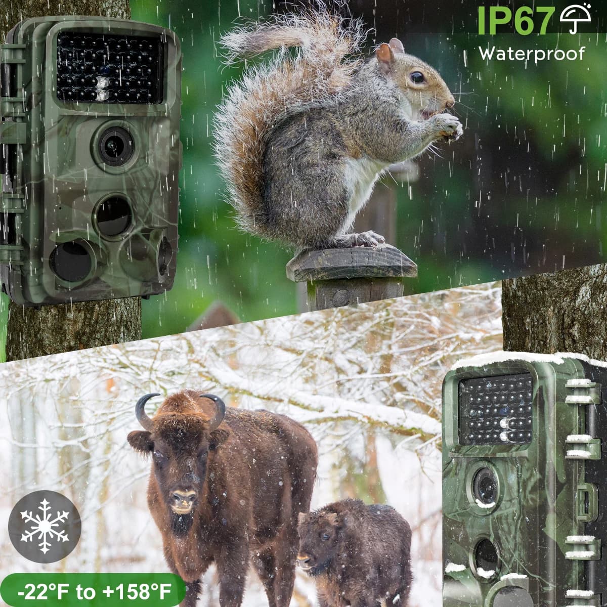 Caméra trail 4K 64MP vision nocturne low glow IP67 étanche écran 2 pouces monitoring faune outdoor