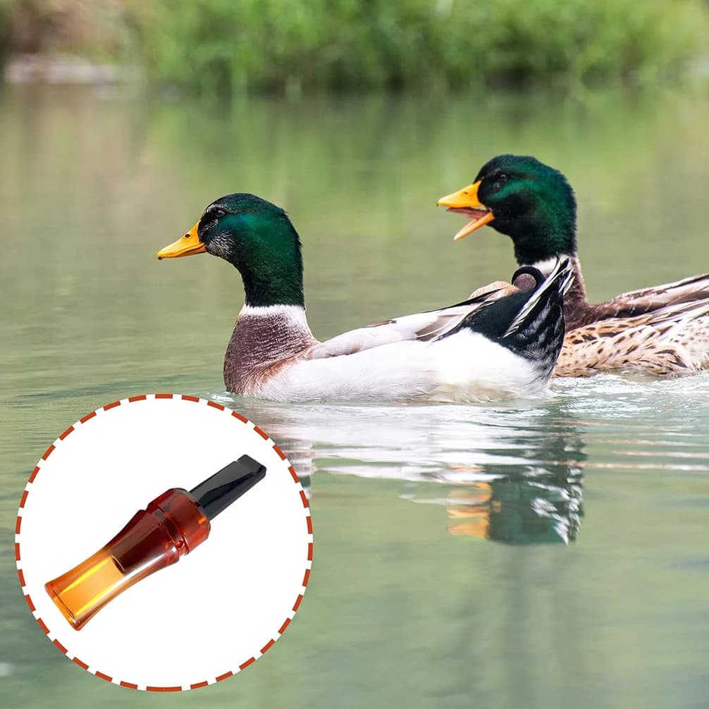 Sifflet chasse corbeau super puissant - appel corvidés leurre imitation freux pour chasseurs extérieur