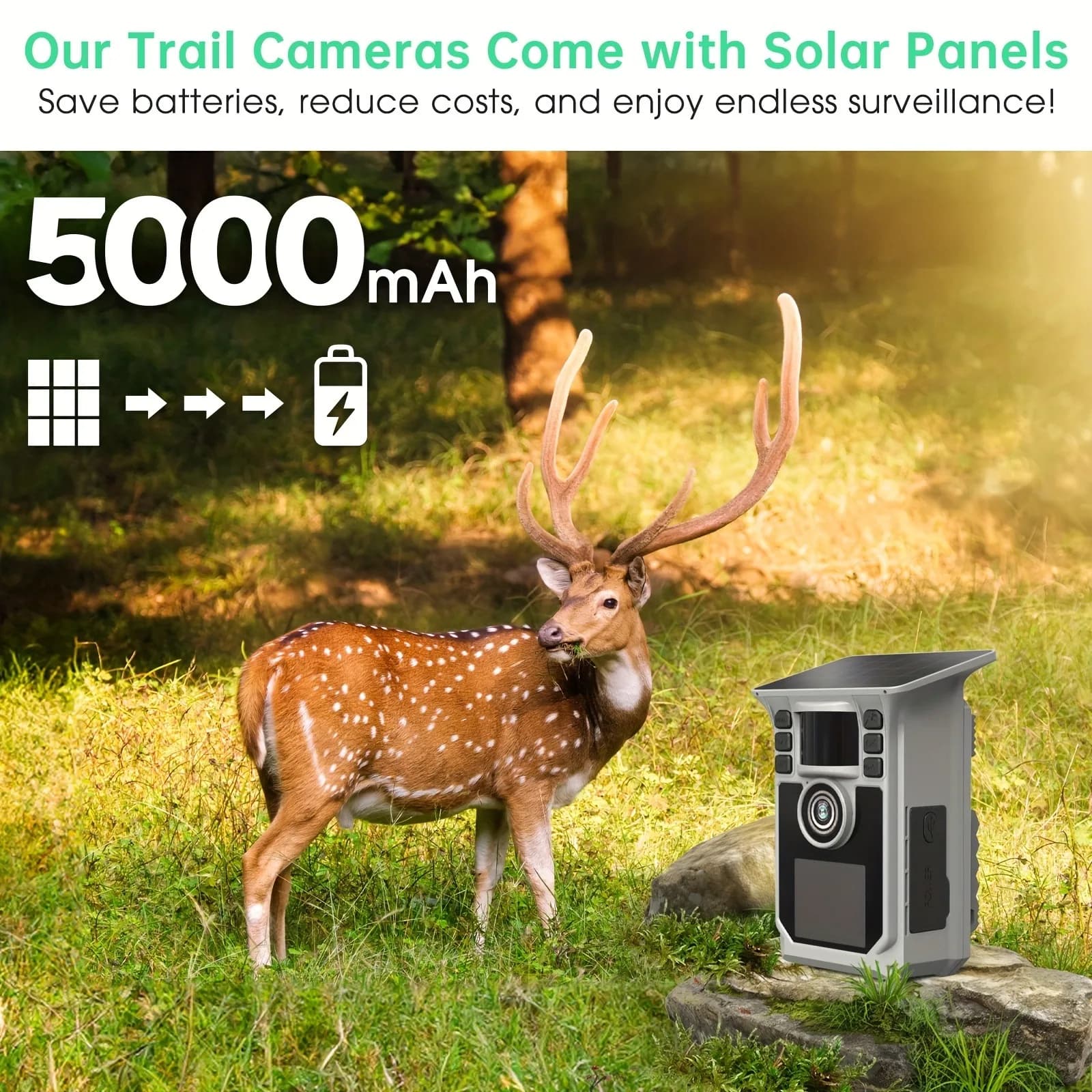 Caméra de chasse 4K 64MP WiFi solaire IP67 avec vision nocturne et détection de faune longue autonomie