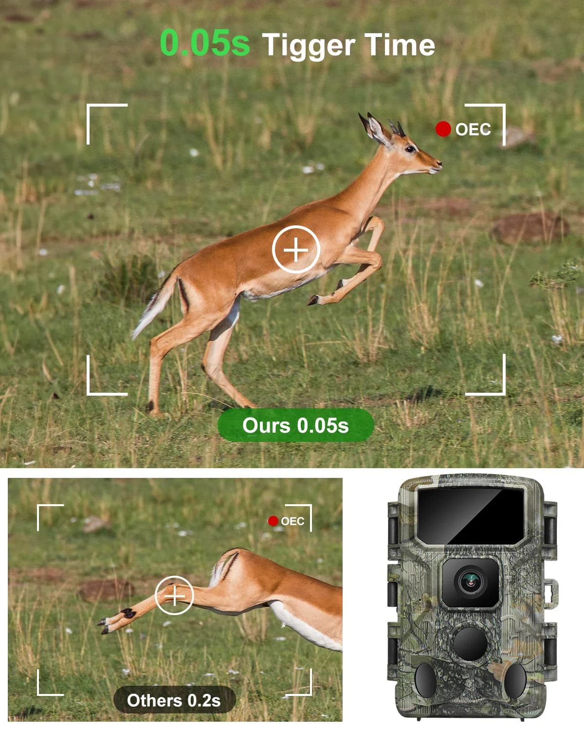 Caméra trail extérieure WiFi 4K 48MP vision nocturne étanche IP67 pour chasse et observation faune