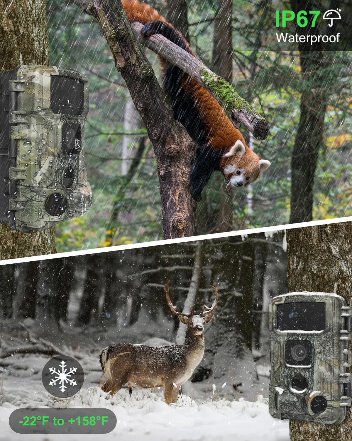 Caméra trail extérieure WiFi 4K 48MP vision nocturne étanche IP67 pour chasse et observation faune