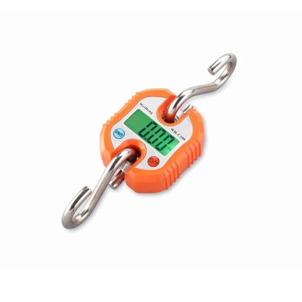 Balance électronique portable détachable 0.2-150kg - micro balance gruau légère pour pêche, agriculture, laboratoire