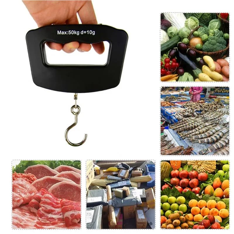 Balance digitale pêche 40kg 50kg crochet rétroéclairée pour peser poissons et bagages voyage