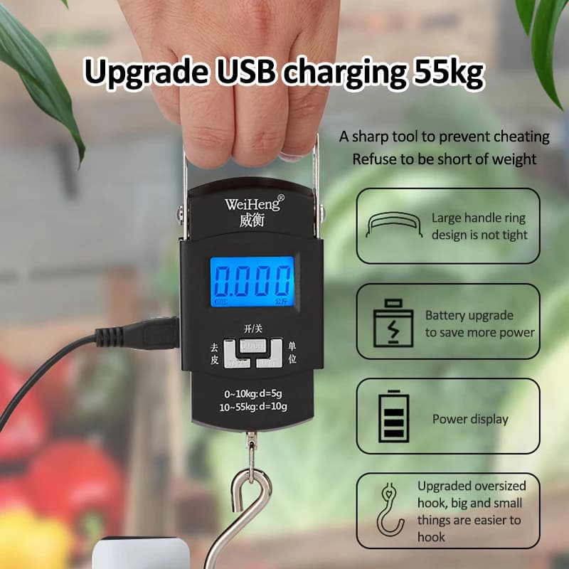 Balance numérique suspendue 55kg/10g rechargeable USB pour pêche, voyages et bagages double précision