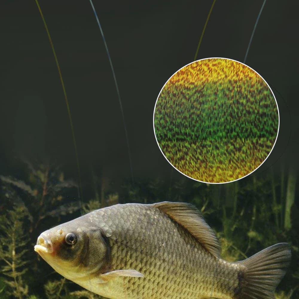 Fil pêche fluorocarbone FTK 300m-500m invisible 0.20mm-0.50mm - Ligne tachetée super résistante 4-34LB