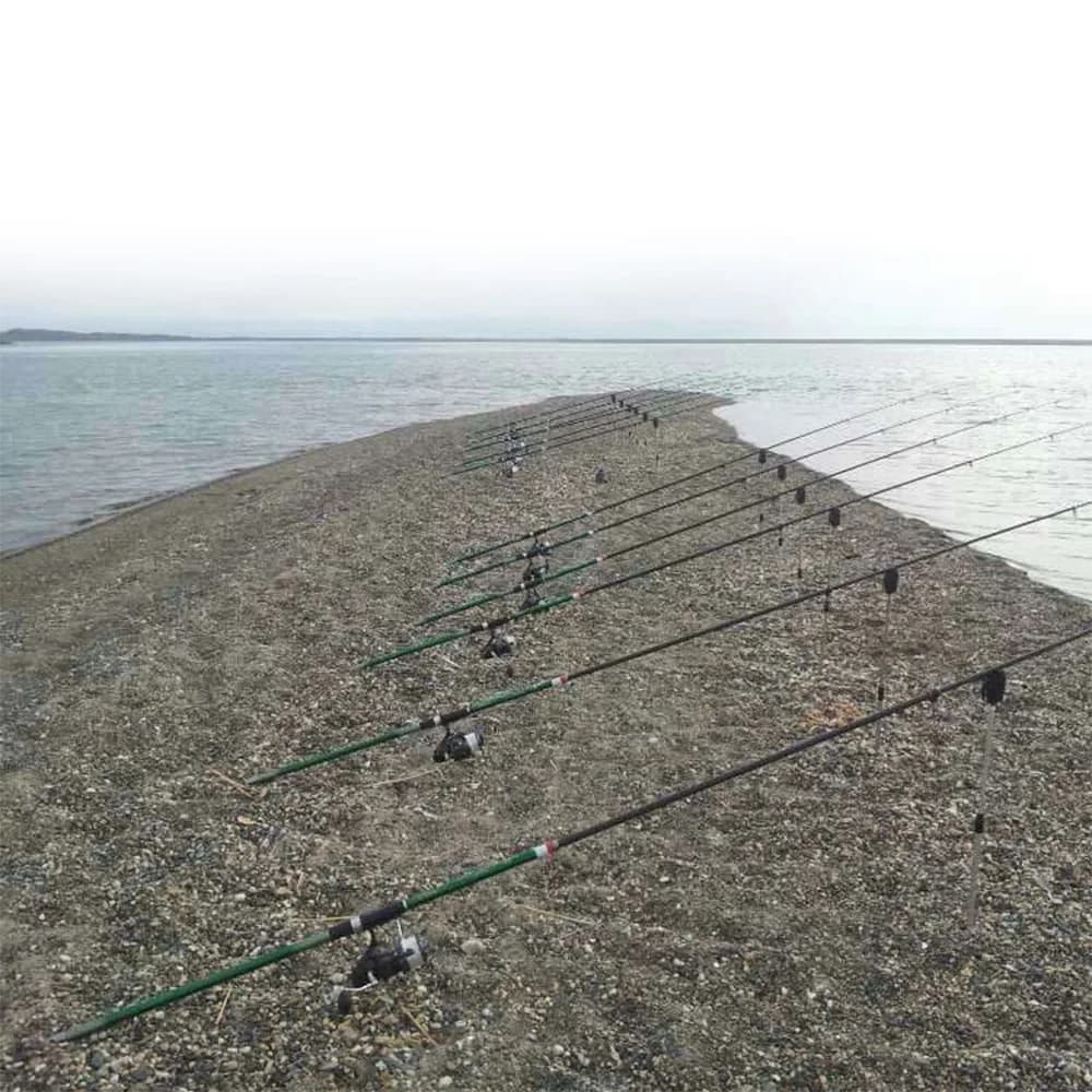 Support de canne télescopique inox portable 55-100cm pour alarmes de pêche à la carpe - Accessoire pratique