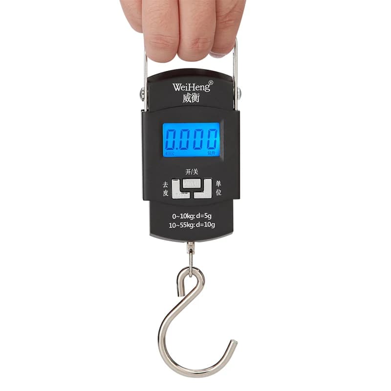 Balance numérique suspendue 55kg/10g rechargeable USB pour pêche, voyages et bagages double précision