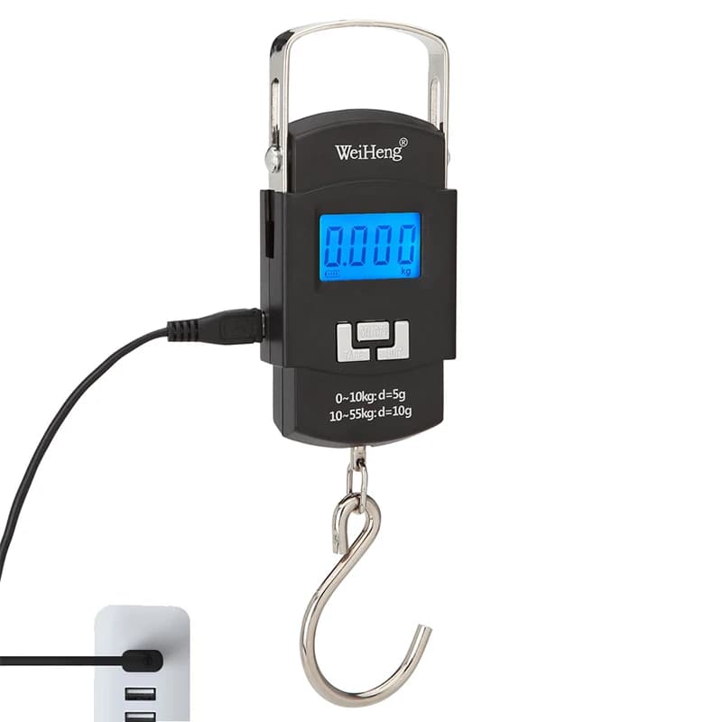 Balance numérique suspendue 55kg/10g rechargeable USB pour pêche, voyages et bagages double précision