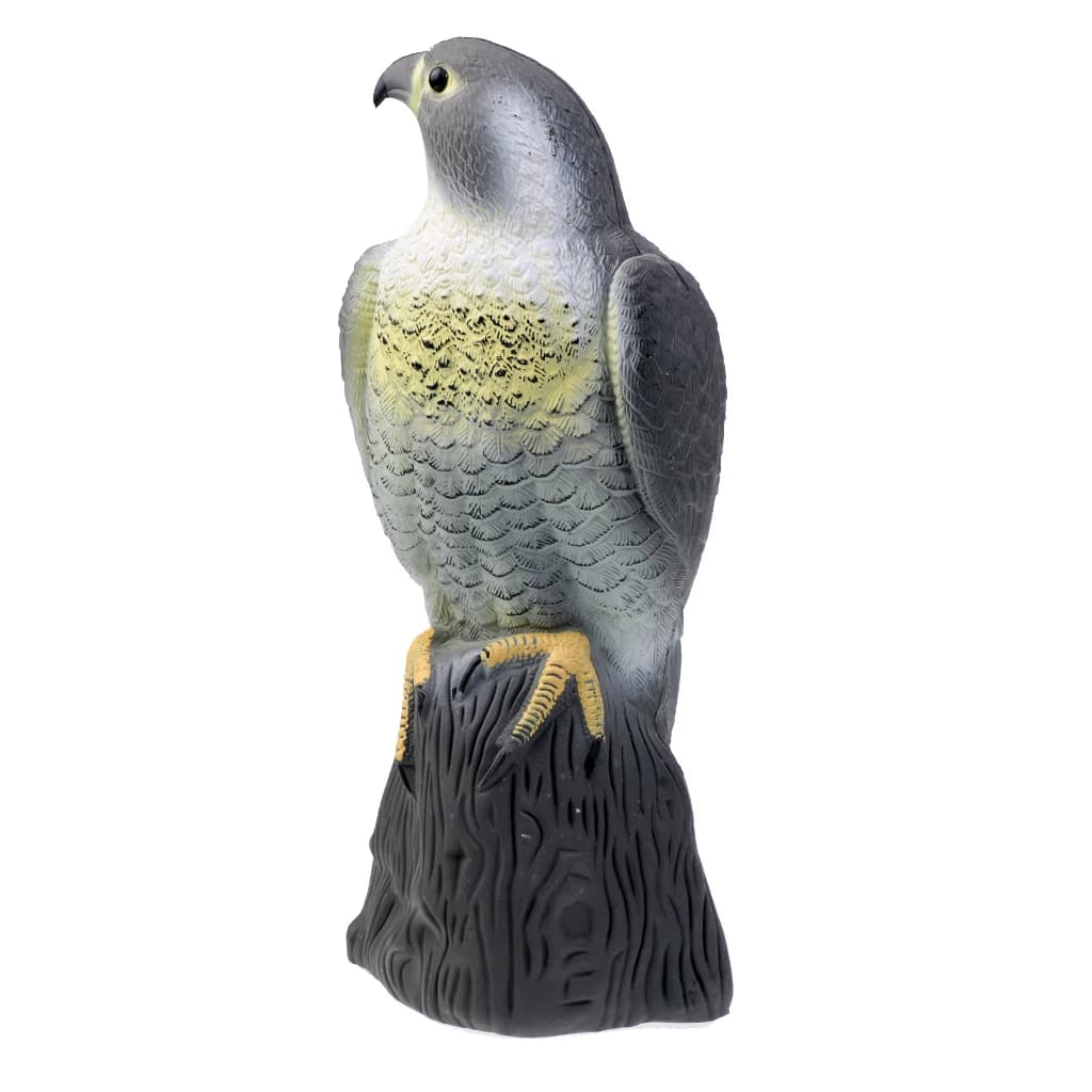 Leurre aigle 3D réaliste pour chasse oiseaux et épouvantail pigeons - Protection jardin