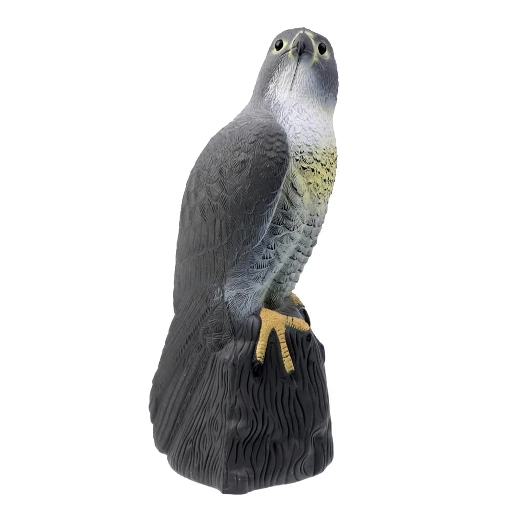 Leurre aigle 3D réaliste pour chasse oiseaux et épouvantail pigeons - Protection jardin