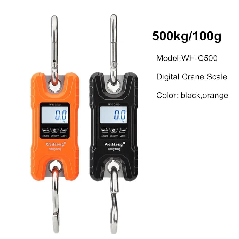 Balance de pêche 200kg/100g 300kg/50g 500kg/100 LCD crochet acier inox portable pour gros poissons