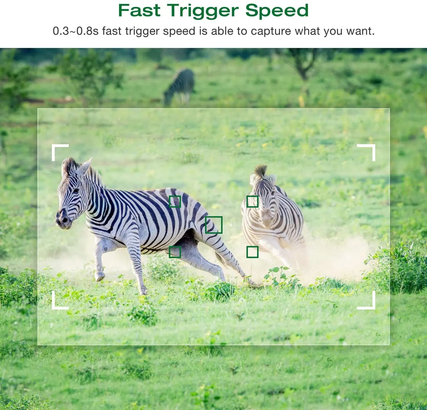 Mini caméra de chasse 20MP 1080P Mini600 - Piège photo faune forestière étanche iP65 surveillance piste