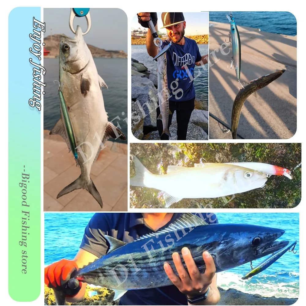 Leurre suspending D1 Assassin Minnow 120-163mm wobbler silencieux lumineux pour bar et pagre en mer