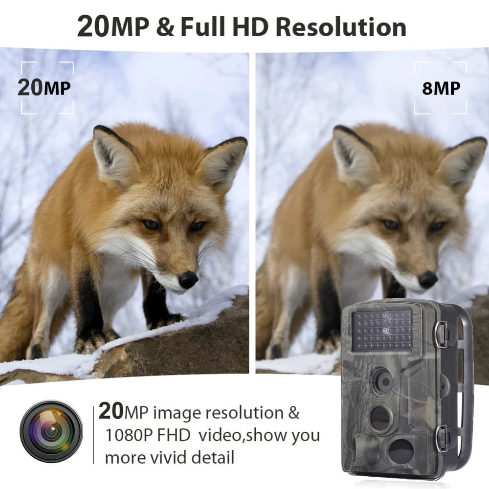 Suntekcam HC802A 20MP 24MP caméra trail étanche vision nocturne pour piégeage photo