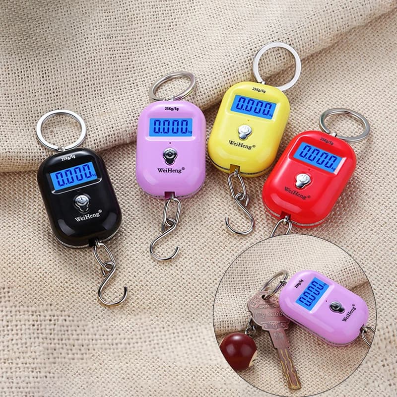 Balance pêche portable 25Kg/10g mini numérique accrocheuse pour bagages voyage clés électronique