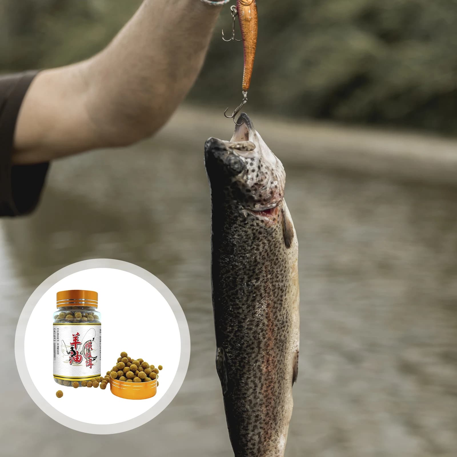Amorce fraîche Blood Wheat à l'huile d'agneau - Nourriture pour carpe, carassin et poissons blancs