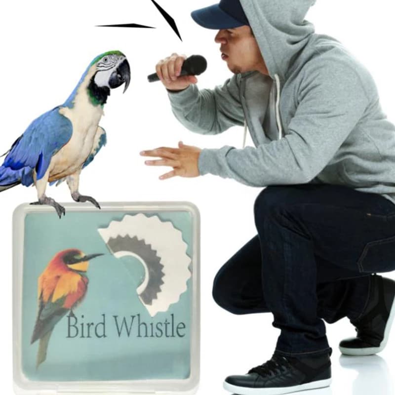 Sifflet à oiseaux magique caché dans la bouche - Appel d'oiseaux réaliste pour pêche et astuces