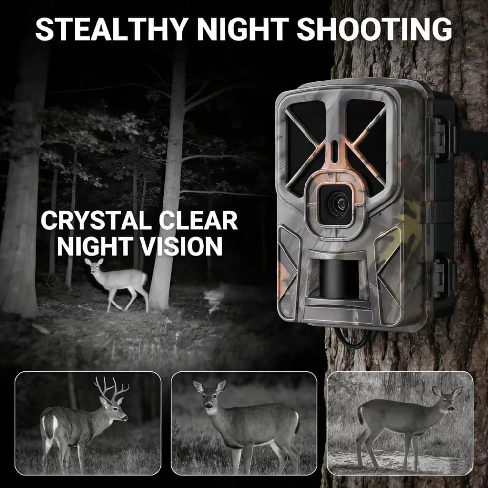 Caméra faune extérieure 50MP 4K vision nocturne étanche IP66 pour jardin piège photo animalier
