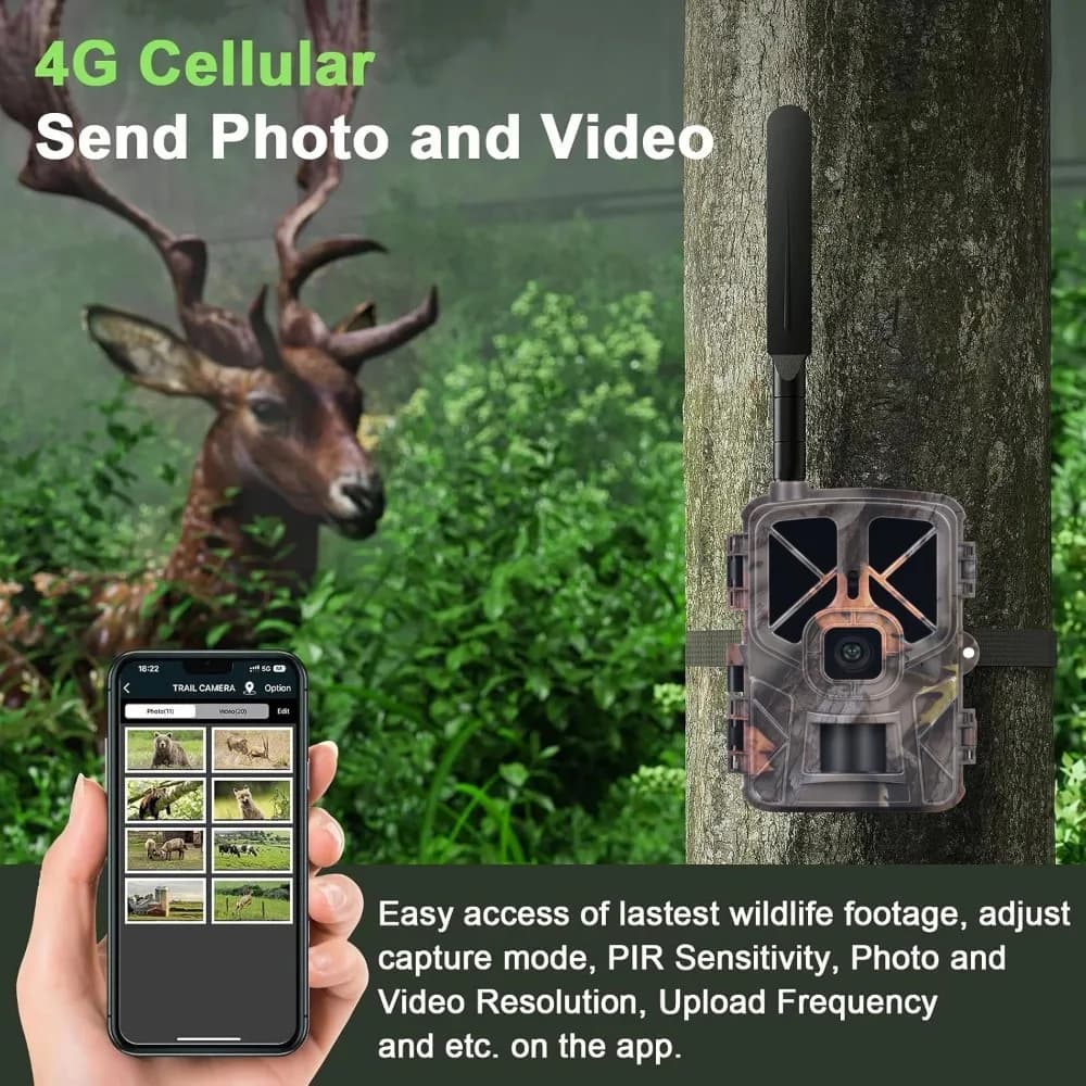 Caméra 4G 30MP 2K live étanche IP66 détection mouvement vision nocturne pour pêche chasse