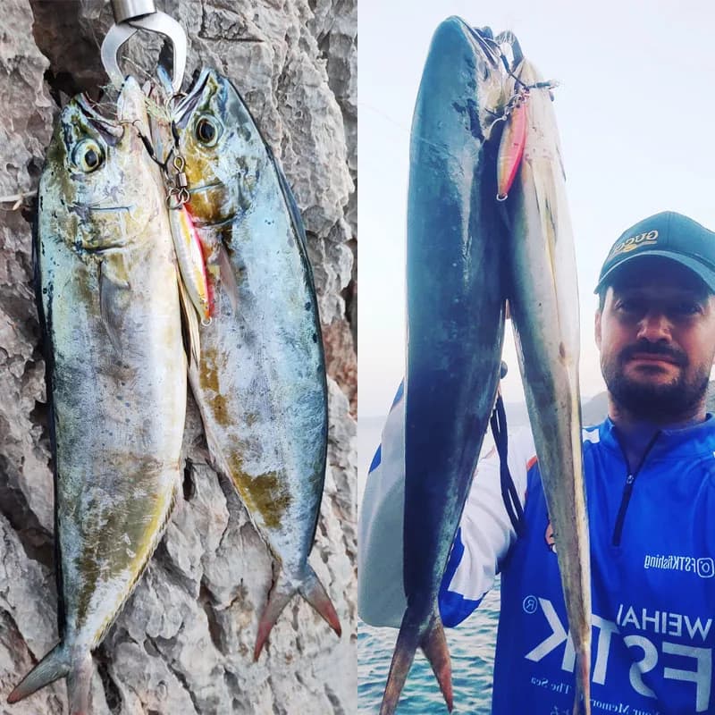 Leurre de pêche FSTK 2024 avec cuiller et hameçon pour lancer long, leurres à secousse 20g